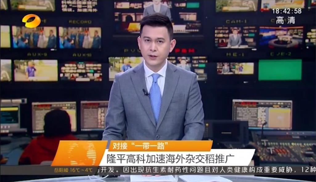 对接“一带一路” 凯发k8高科加速海外杂交稻推广