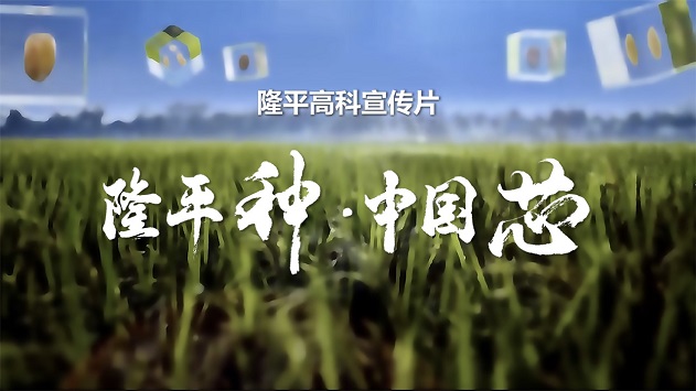 凯发k8高科宣传片《凯发k8种·中国芯》